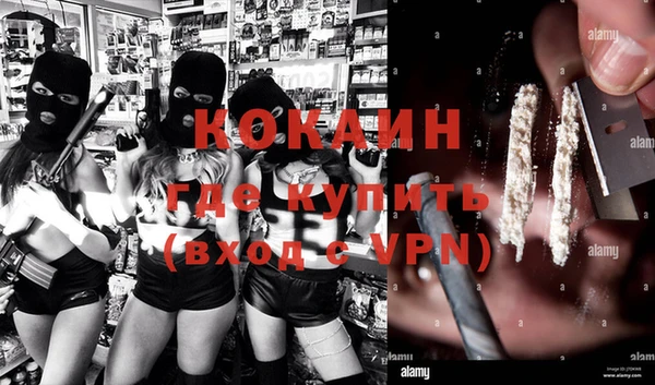 прущие грибы Горняк