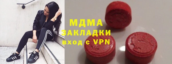 прущие грибы Горняк