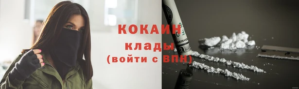 прущие грибы Горняк