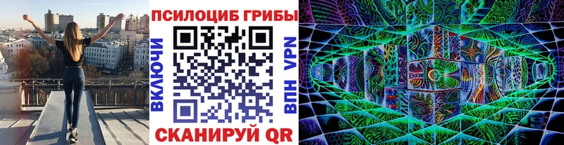 Псилоцибиновые грибы Magic Shrooms  Закаменск 