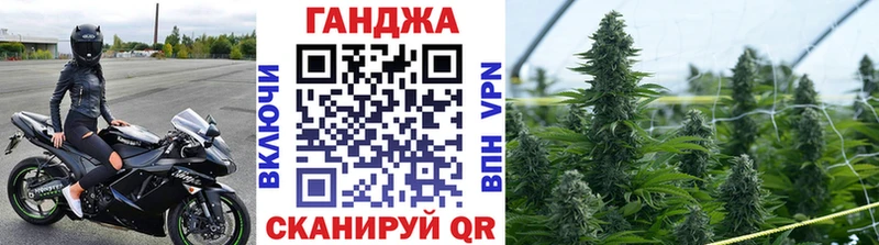 Бошки Шишки планчик  Закаменск 